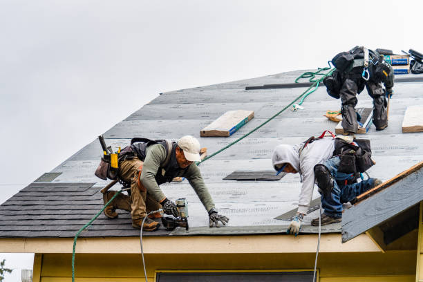 Professional Gutter Installation technician working in Bejou, MN